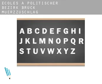 Écoles à  Politischer Bezirk Bruck-Muerzzuschlag